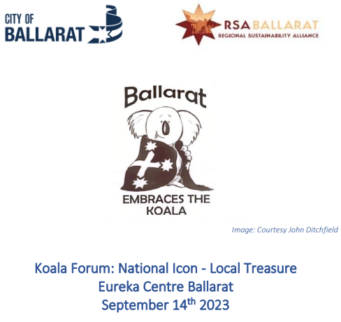 Koala Story image