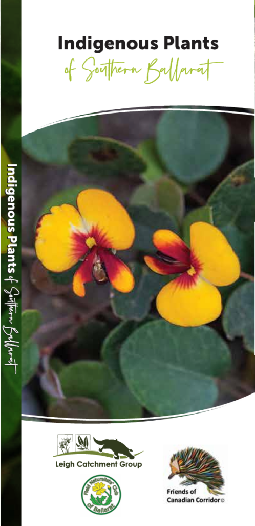 Indigenous Plants of Southern Ballarat