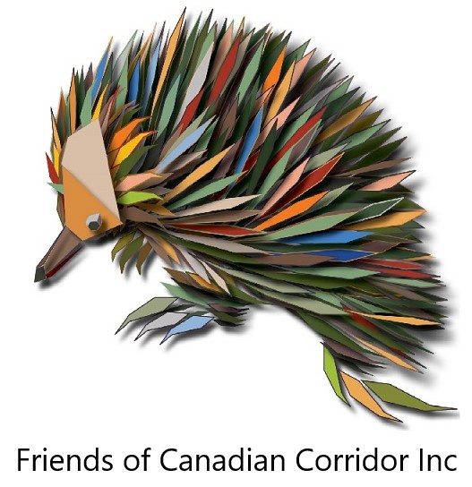 FOCC Spikey Logo